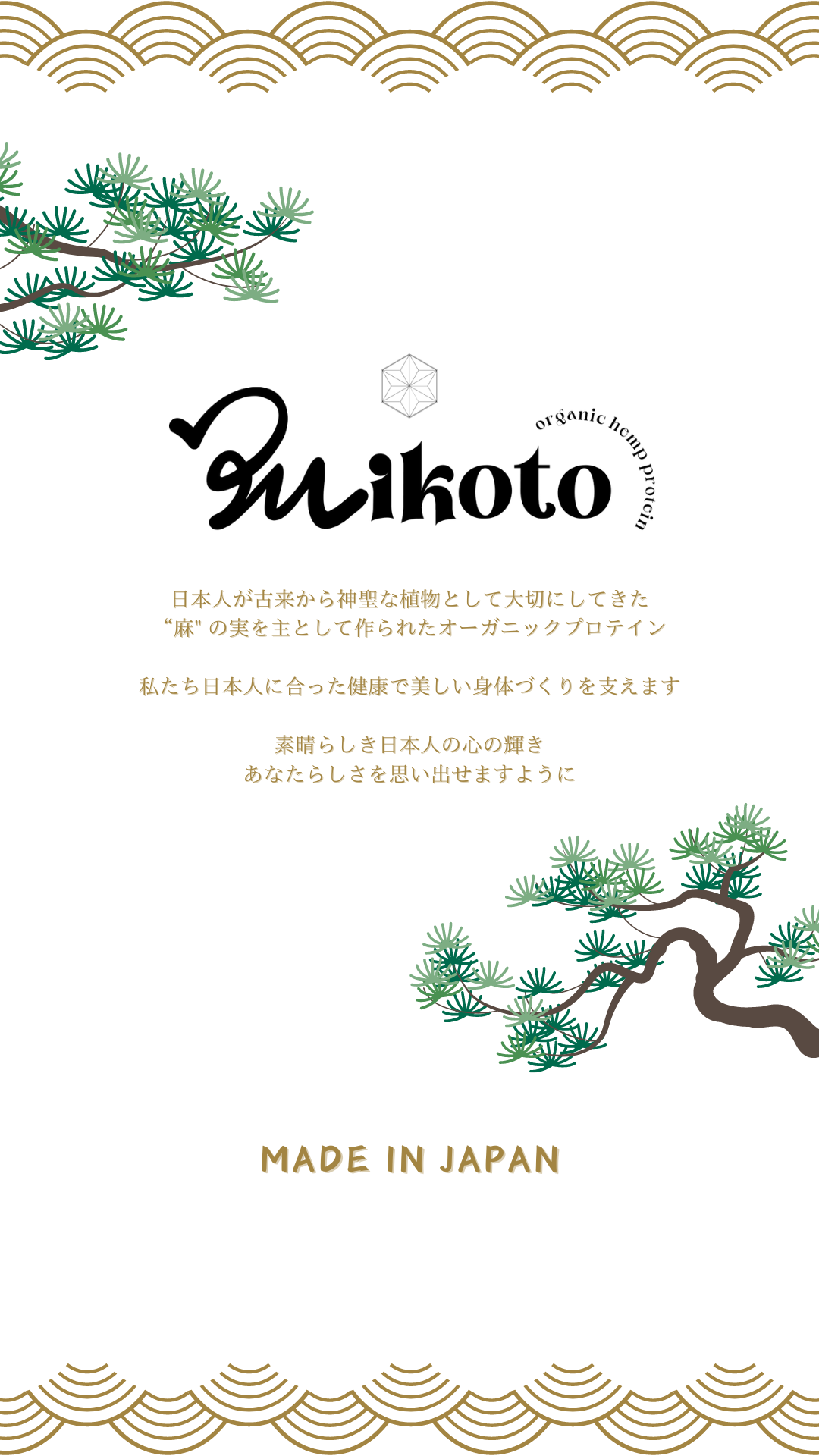 Mikoto Organic Hemp Protein - ミコト (( 命 )) オーガニック ヘンププロテイン 420g ( Flavor : Matcha / Chocolate ) 有機植物性プロテイン