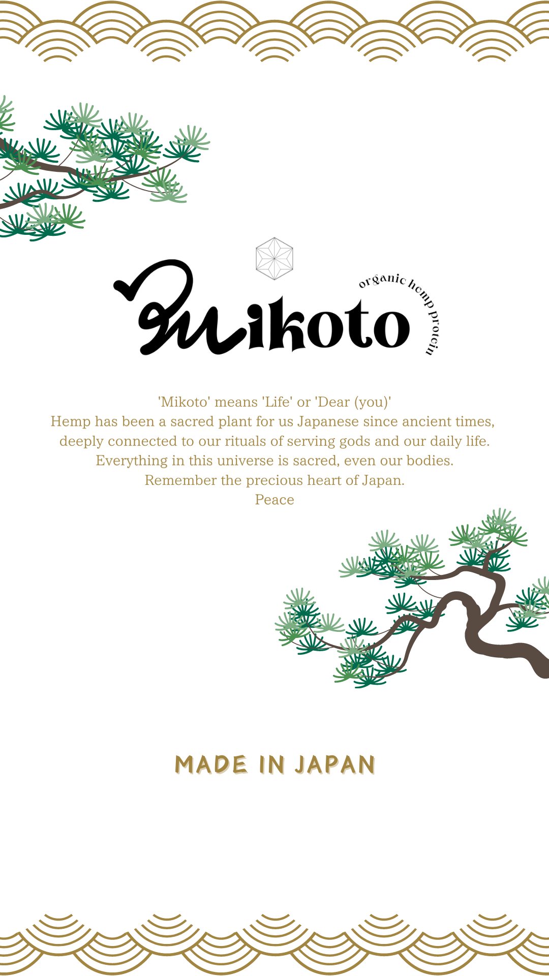 Mikoto Organic Hemp Protein - ミコト (( 命 )) オーガニック ヘンププロテイン 420g ( Flavor : Matcha / Chocolate ) 有機植物性プロテイン
